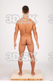 Body texture of Lukas 0046